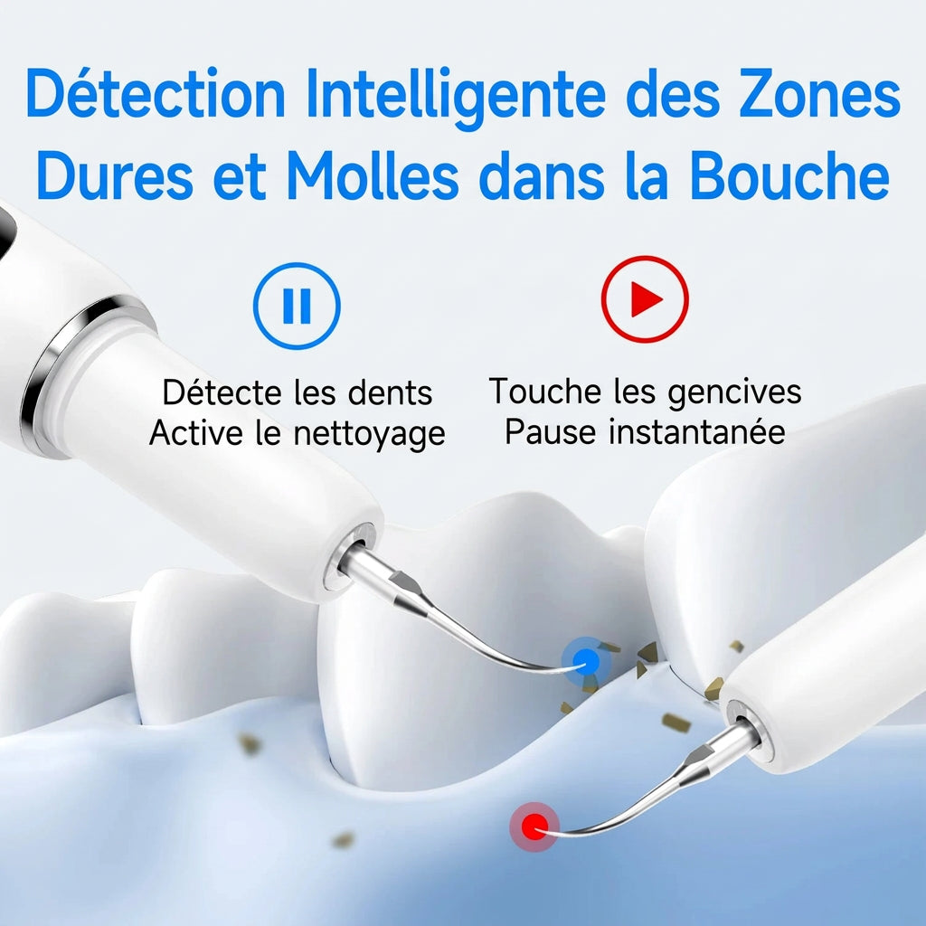 Appareil de nettoyage dentaire CURVY MOON T6