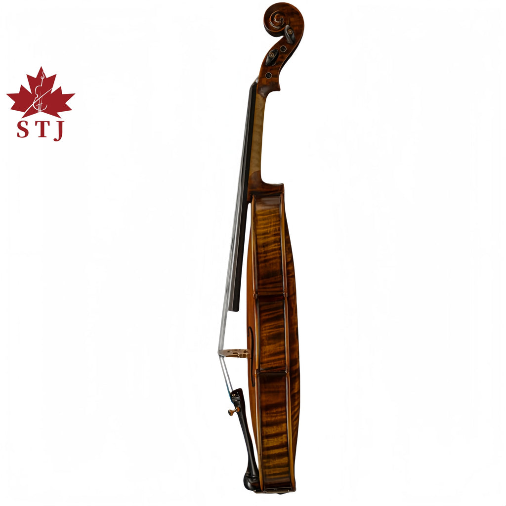 Violon STJ 4/4 avec étui et accessoires