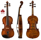 Violon STJ 4/4 avec étui et accessoires
