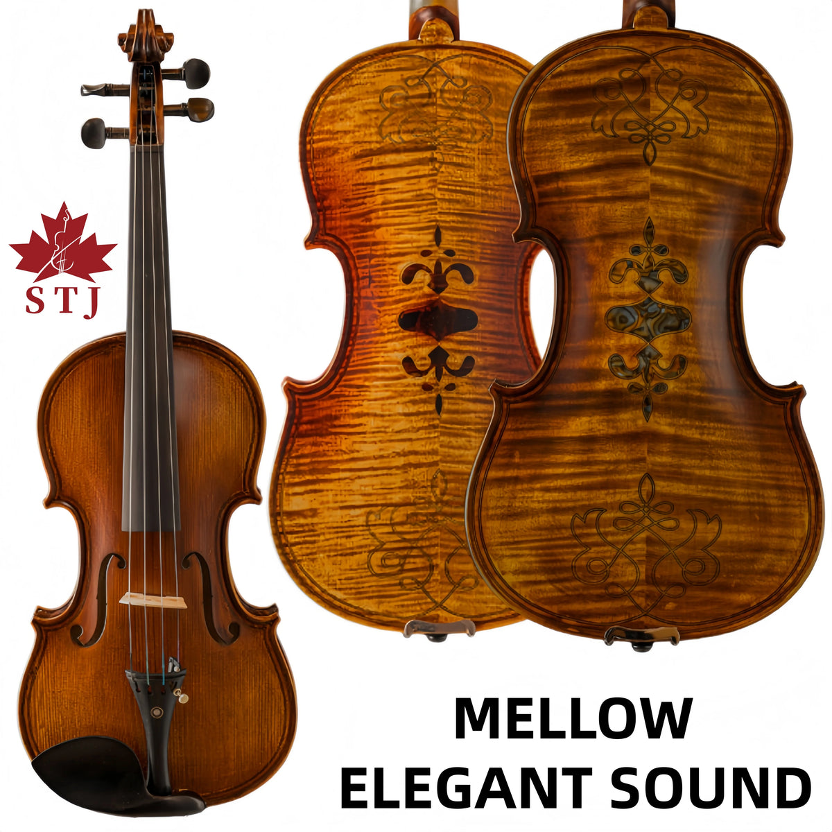 Violon STJ 4/4 avec étui et accessoires