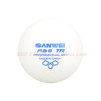 Lot de 100 balles de tennis de table 40+ – Entraînement