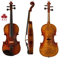 Violon STJ 4/4 avec étui et accessoires