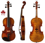 Violon STJ 4/4 avec étui et accessoires